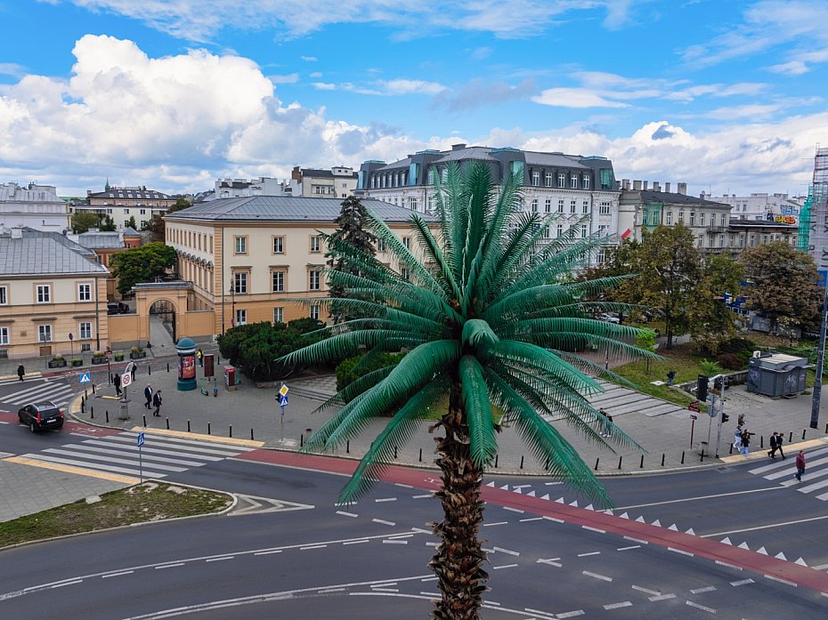Koniec morza betonu wok� palmy. Rondo de Gaulle'a przejdzie metamorfoz�