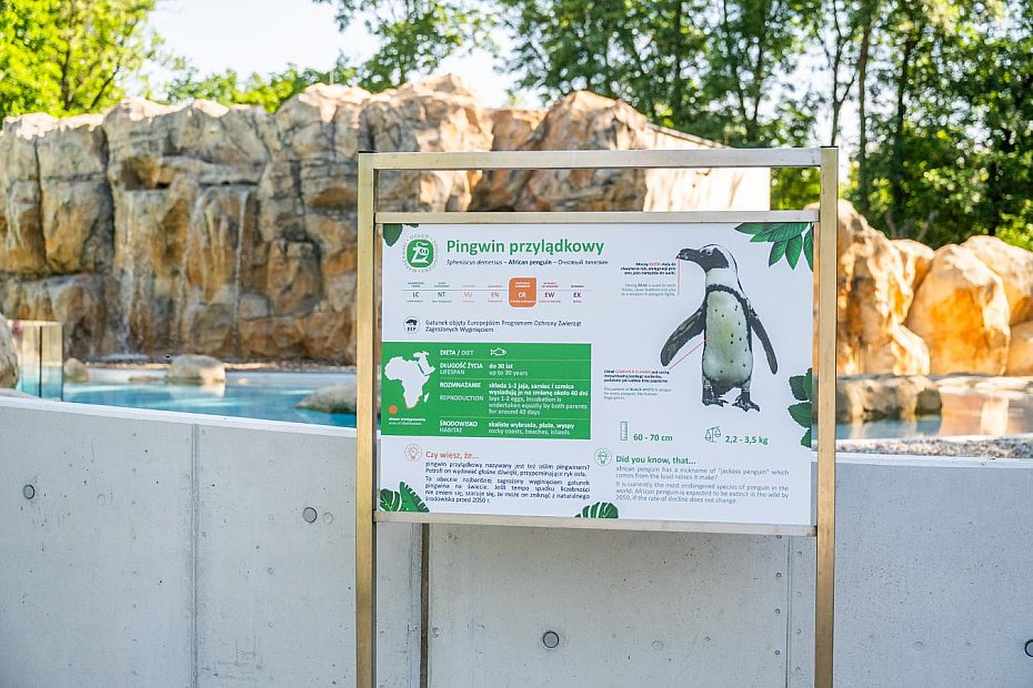 Nowy pawilon dla pingwin�w otwarty. Wielkie zmiany w ogrodzie zoologicznym