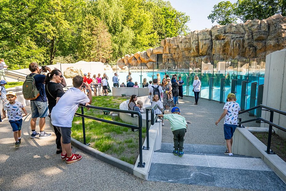 Nowy pawilon dla pingwin�w otwarty. Wielkie zmiany w ogrodzie zoologicznym