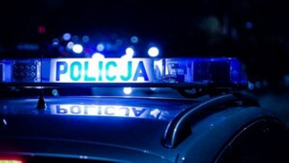 alt='Policjanci szukali elektronarz�dzi. Znale�li te� rasowego kr�lika i kilka niespodzianek'