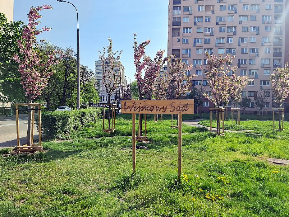 Wolskich rewolucji podw�rkowych ci�g dalszy. Co zmieni si� w przysz�ym roku?