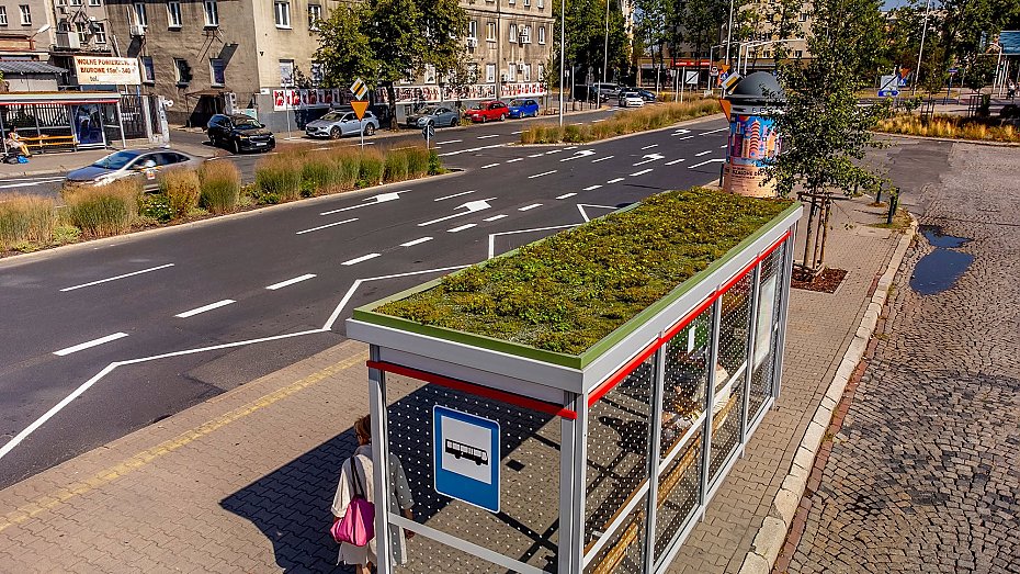 Jeszcze wi�cej zielonych przystank�w na Woli. Kt�re lokalizacje si� zazieleni�?