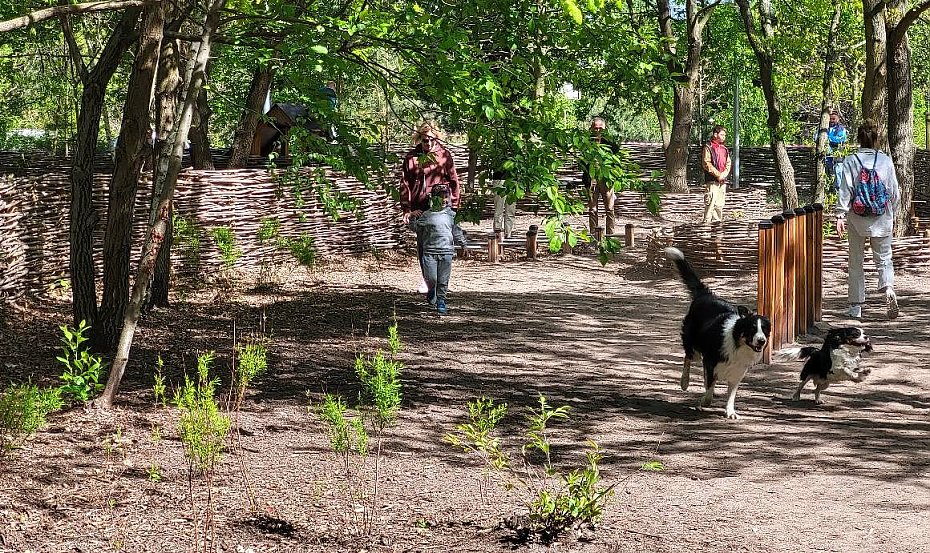 Park Aktywno�ci Rodzinnej zyska nowe atrakcje. Mieszka�cy zdecydowali
