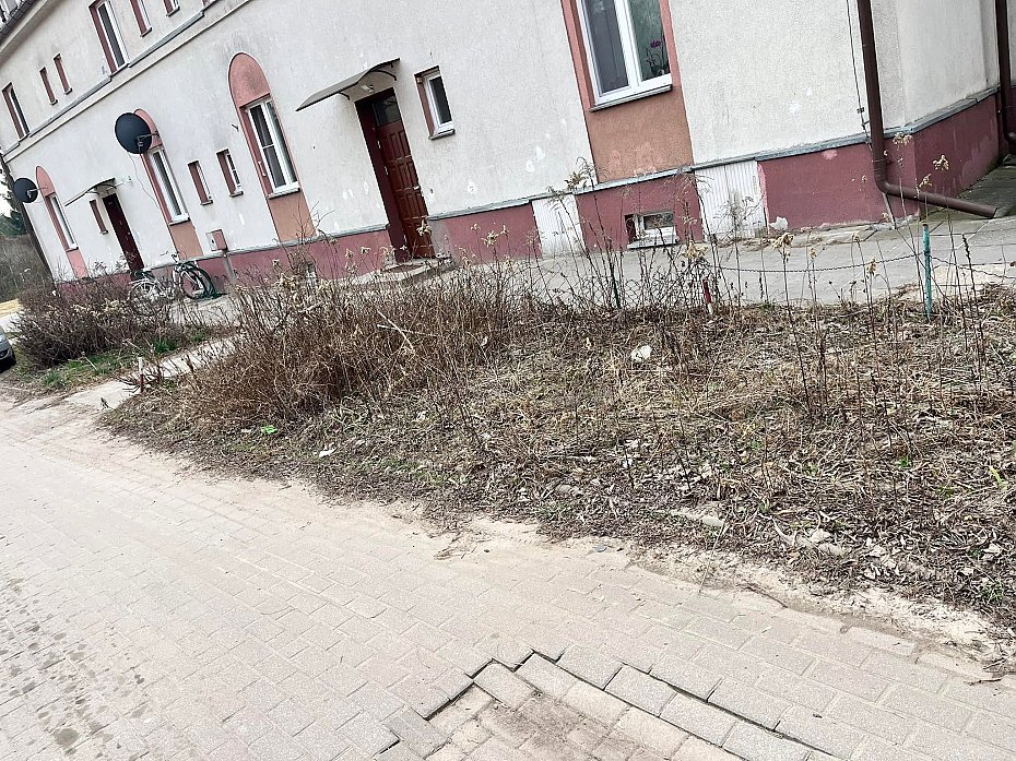 Dwie kamienice przy Radiowej, to inny - ponury �wiat. Mieszka�cy trac� nadziej�