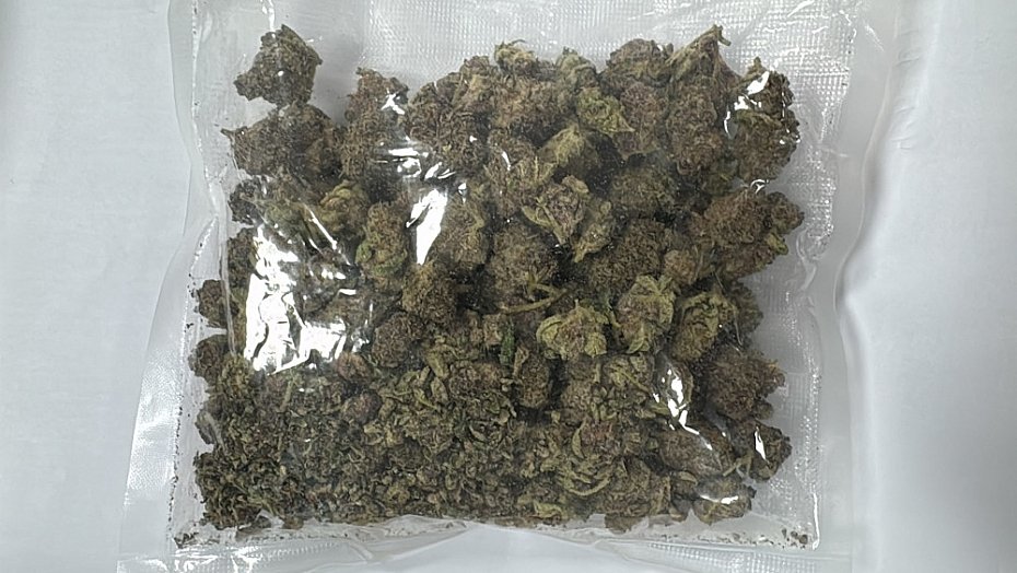Zacz�o si� od e-papierosa. Policjanci znale�li ponad 900 gram�w marihuany i 243 urz�dzenia z THC