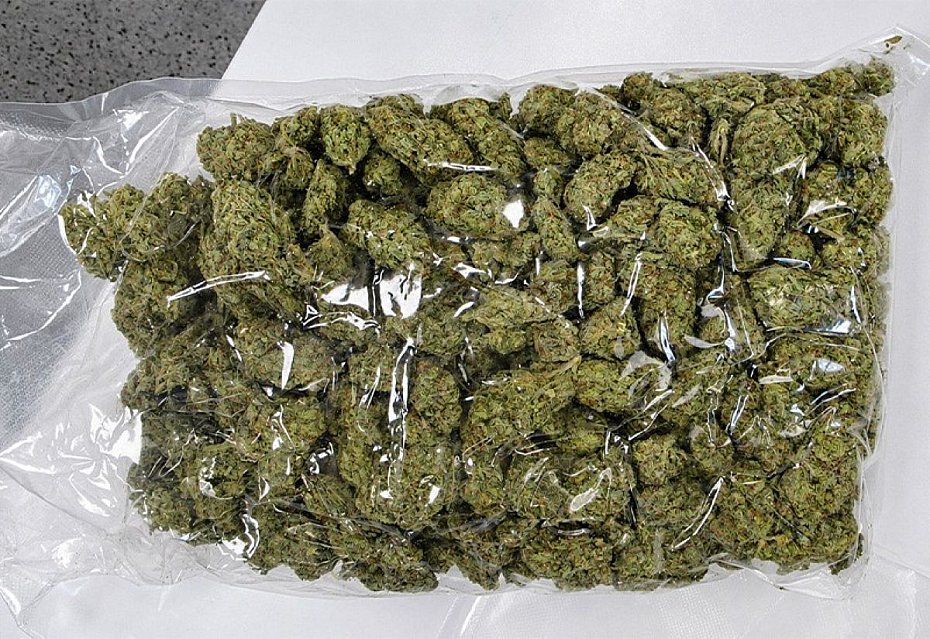 P� miliona w skrzynce na narz�dzia. KAS przej�a ponad 10 kg marihuany