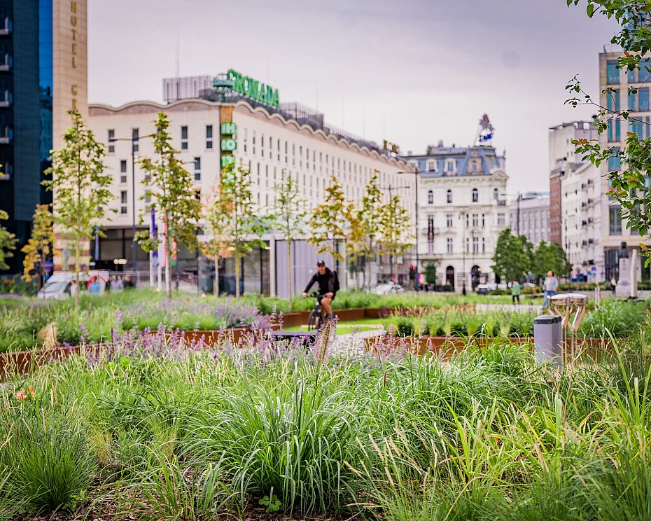 Plac Powsta�c�w Warszawy zmieni� si� nie do poznania. Tysi�ce ro�lin i nowa pergola