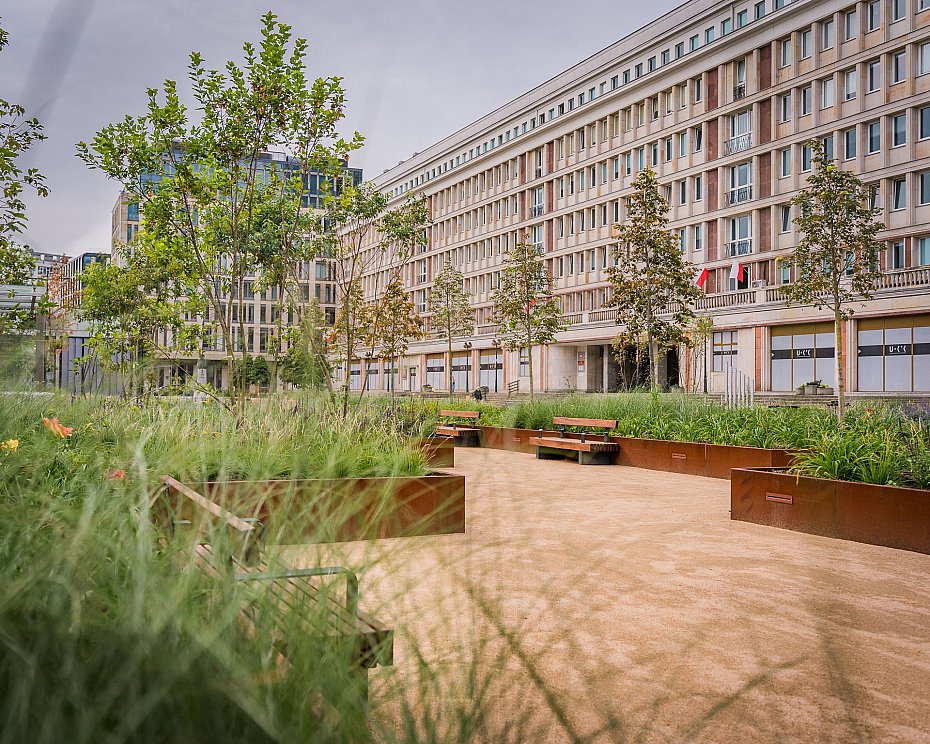 Plac Powsta�c�w Warszawy zmieni� si� nie do poznania. Tysi�ce ro�lin i nowa pergola