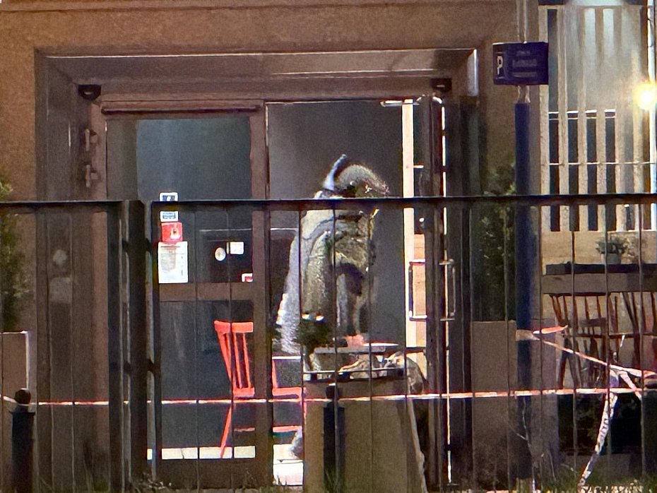 Zaplombowany plecak na stacji paliw. Policjanci zatrzymali 23-latka