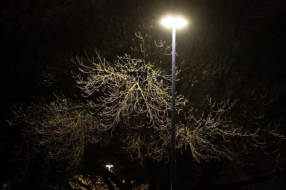 Spychologia na �oliborzu. Kto odpowiada za modernizacj� latarni w parku K�pa Potocka?