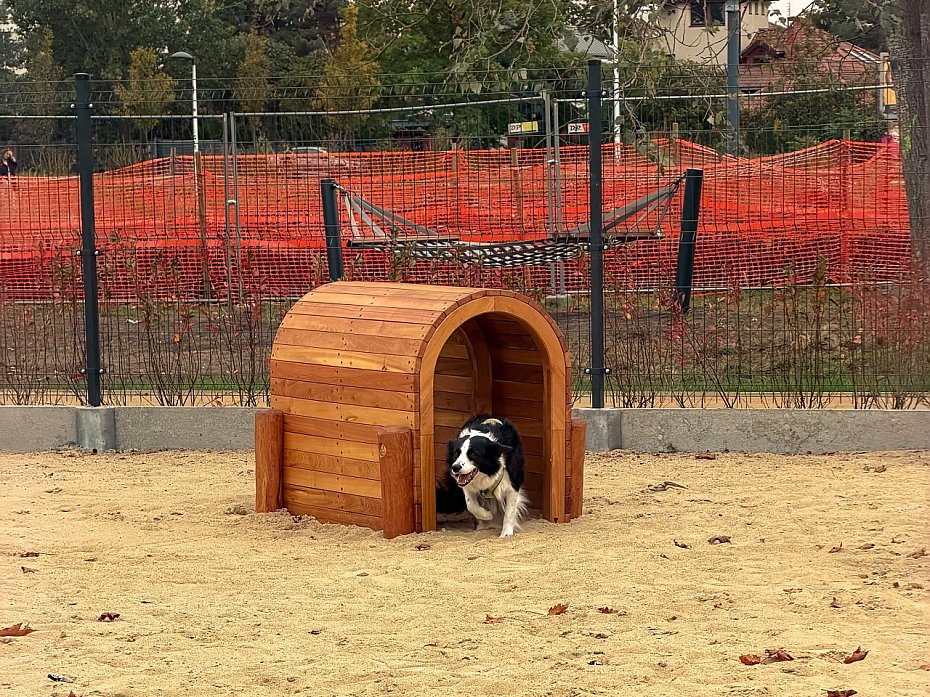 Nowy park na Tarchominie gotowy. Nie chodzi o park Botewa, lecz o miejsce dla... ps�w?