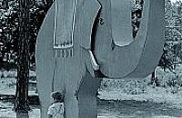 Żądamy powrotu słonia!