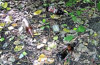 Czy zareagować to dużo?