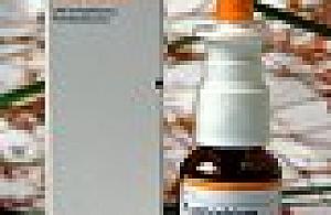 Sposób na wiosenne alergie