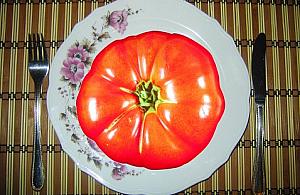 Znakować produkty z GMO!