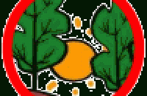 Plaga śmieci w lasach