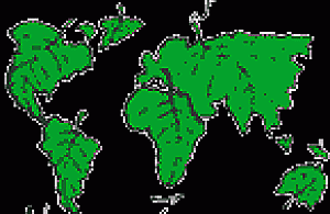 Polska wysprzątana, ale brudna