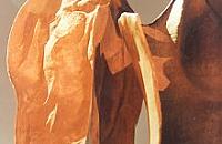 Warszawa w obiektywie