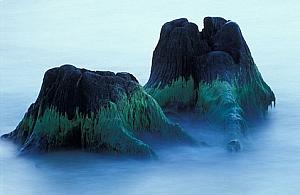 Fotosy na murach Barbakanu