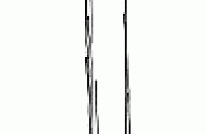 Królewski festiwal potraw warszawskich