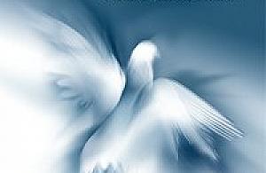 Słowo Twe Panie, światłem na mej ścieżce*