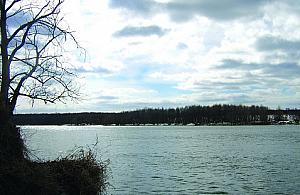 Zwolnić wszystkich dyscyplinarnie