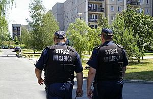 Wyniki akcji "Żądło"