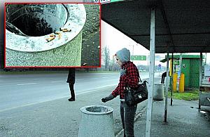 Zakaz palenia na przystankach