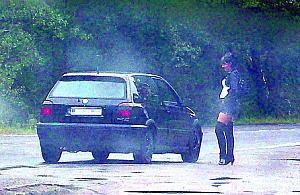 Problematyczne ssaki leśne