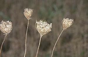 Natura 2000 - atrakcja, jakich mało!