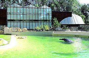 Nowe atrakcje w zoo
