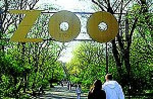 Rekiny też zapraszają