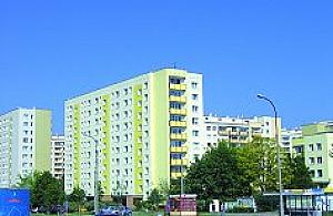 Łebki pod nocnymi sklepami