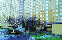 Na decyzj� trzeba czeka�