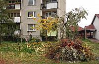 Dziwna moda