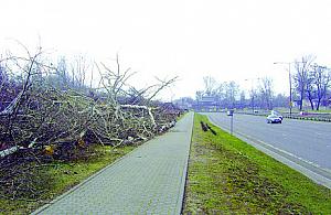 Rusza wielka budowa S8