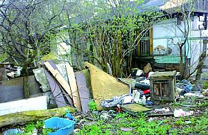 Ślepe służby, ślepe urzędy