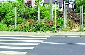 Co jest grane ze Sterniczą?