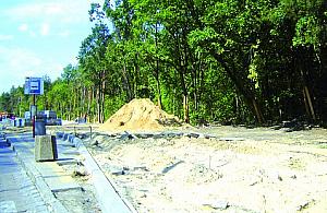 Kocjana się zmienia