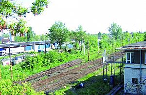 Spokojnie - to tylko plotka