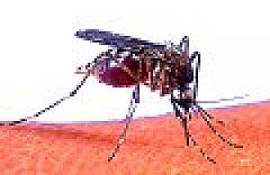 Na razie wylęgarnia