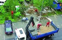 Śmietnik zamiast drzew