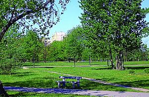 Bój o przyszłość parku