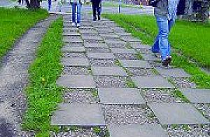 Chodnikowa przepychanka