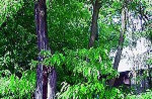 Zagrożenie na Księcia Janusza