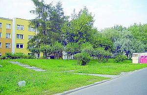 Pamiętajcie o alergikach