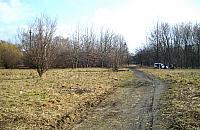 B�dzie park?