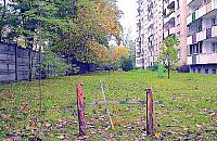 Awantura o mur graniczny