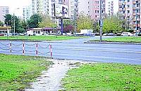 Zebry w�druj� po Wroc�awskiej