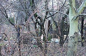 Niekończąca się opowieść